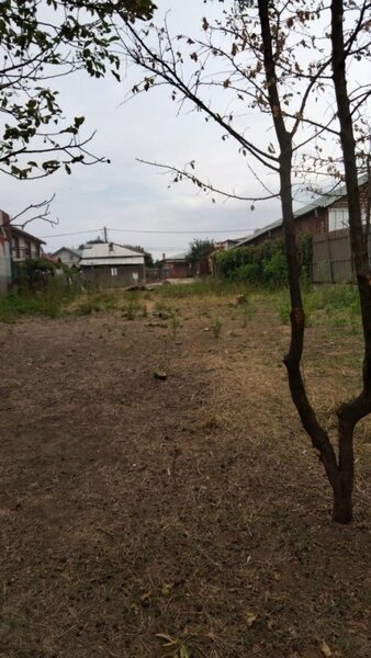 Metrou Anghel Saligny, Catelu, casa cu teren 2300 mp.